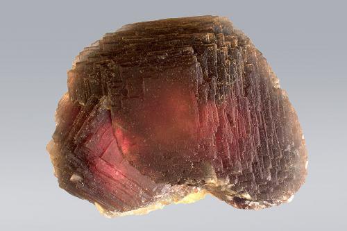 Fluorite<br />Fisura Summit, Zona Pico Weißeck, Murwinkel, Lungau, Salzburgo/Salzburg, Austria<br />9,5 x 7,5 cm<br /> (Author: Gerhard Brandstetter)