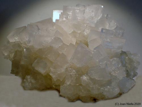 Halita<br />Condado Salt Lake, Utah, USA<br />10 x 7 cm<br /> (Autor: Joan Niella)