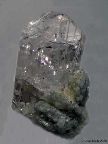 Danburita<br />Mina Aurora, Charcas, Municipio Charcas, San Luis Potosí, México<br />25 x 15 mm<br /> (Autor: Joan Niella)