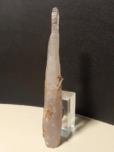 Quartz (variety scepter)<br />Mina Fenice Capanne, Massa Marittima, Provincia Grosseto, Toscana, Italia<br />96 x 14 mm<br /> (Author: Sante Celiberti)