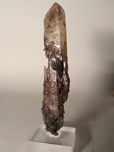 Quartz (variety scepter)<br />Campiglia Marittima, Campigliese, Provincia Livorno, Toscana, Italia<br />95 x 21 mm<br /> (Author: Sante Celiberti)