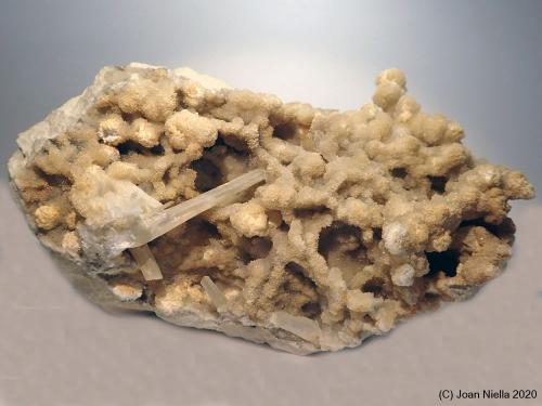 Celestina<br />Yacimiento de Celestinas, Torà, Comarca Solsonès, Lérida / Lleida, Cataluña / Catalunya, España<br />5 x 6 cm<br /> (Autor: Joan Niella)