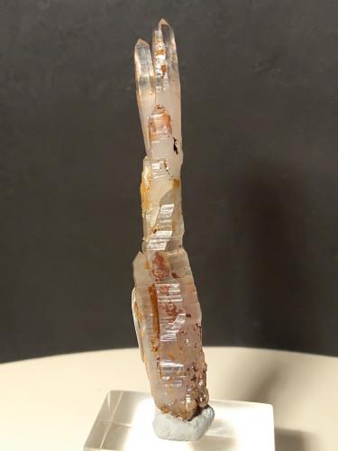 Quartz (variety scepter)<br />Mina Fenice Capanne, Massa Marittima, Provincia Grosseto, Toscana, Italia<br />68 x 12 mm<br /> (Author: Sante Celiberti)