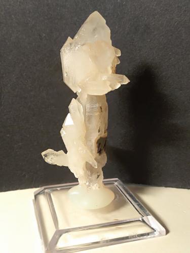 Quartz (variety scepter)<br />Campiglia Marittima, Campigliese, Provincia Livorno, Toscana, Italia<br />65 x 23 mm<br /> (Author: Sante Celiberti)