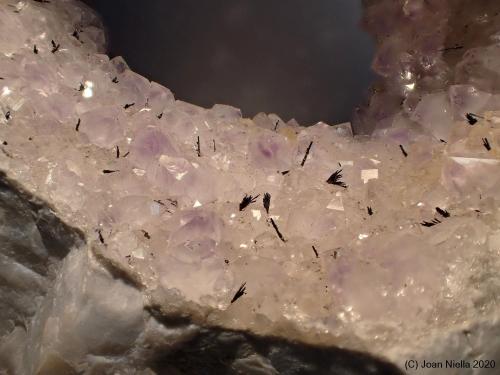 Cuarzo (variedad amatista)<br />Afloramiento de liditas de El Castelluelo, El Castelluelo, Alacón, Comarca Andorra-Sierra de Arcos, Teruel, Aragón, España<br />4 x 3 cm (CV)<br /> (Autor: Joan Niella)