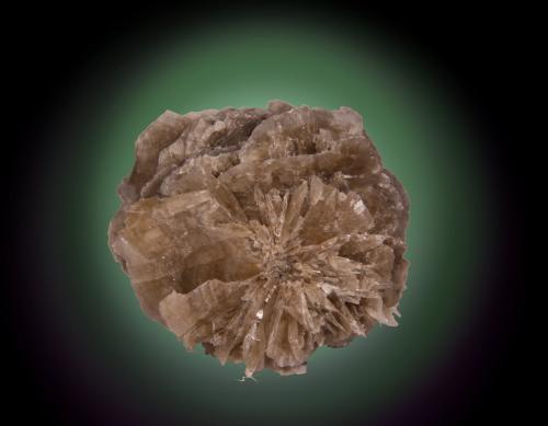 Gypsum<br />Villalbilla, Comarca Cuenca del Henares, Comunidad de Madrid, España<br />55mm x 50mm x 40mm<br /> (Author: Firmo Espinar)