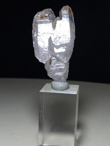 Quartz (variety scepter)<br />Mina Fenice Capanne, Massa Marittima, Provincia Grosseto, Toscana, Italia<br />39 x 20 mm<br /> (Author: Sante Celiberti)