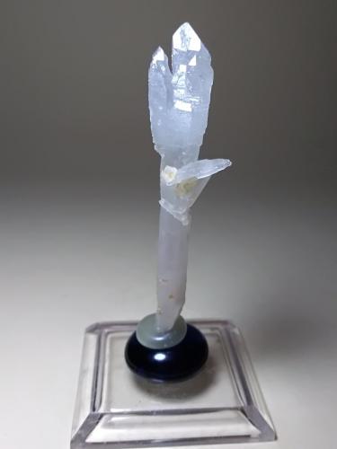 Quartz (variety scepter)<br />Mina Fenice Capanne, Massa Marittima, Provincia Grosseto, Toscana, Italia<br />62 x 16 mm<br /> (Author: Sante Celiberti)