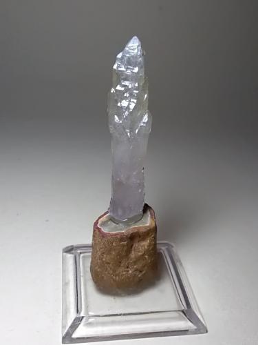 Quartz (variety scepter)<br />Mina Fenice Capanne, Massa Marittima, Provincia Grosseto, Toscana, Italia<br />51 x 12 mm<br /> (Author: Sante Celiberti)