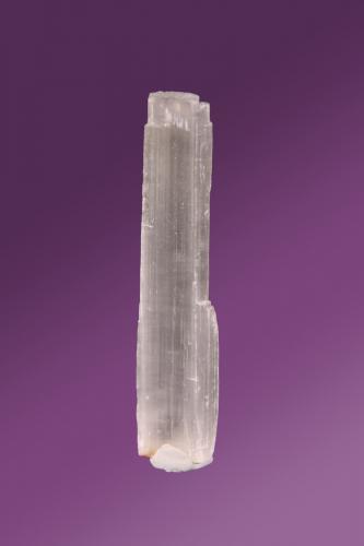 Gypsum<br />Departamento Cauca, Colombia<br />22mm x 102mm x 5mm<br /> (Author: Firmo Espinar)