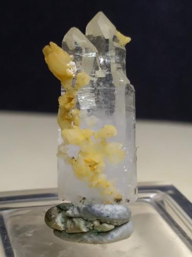 Quartz (variety scepter), Calcite<br />Campiglia Marittima, Campigliese, Provincia Livorno, Toscana, Italia<br />20 x 7 mm<br /> (Author: Sante Celiberti)