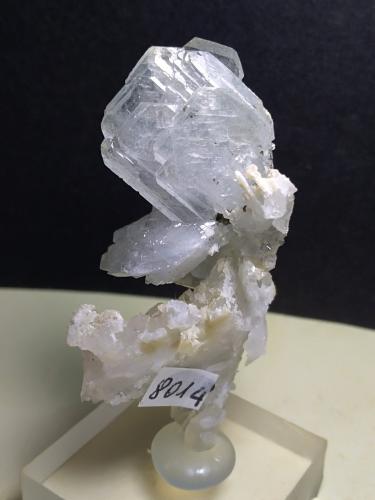 Baryte, Pyrite, Calcite<br />Mina Niccioleta, Massa Marittima, Provincia Grosseto, Toscana, Italia<br />55 x 30 mm<br /> (Author: Sante Celiberti)