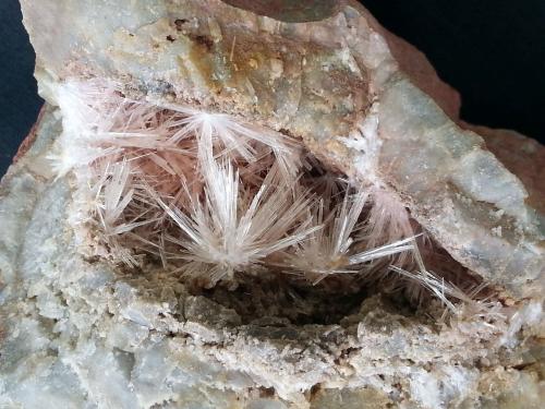 Aragonite<br />Hörndlinger Graben, Hochfilzen, Distrito Kitzbühel, Tirol Norte, Tirol, Austria<br />10 x 7 cm<br /> (Author: Volkmar Stingl)