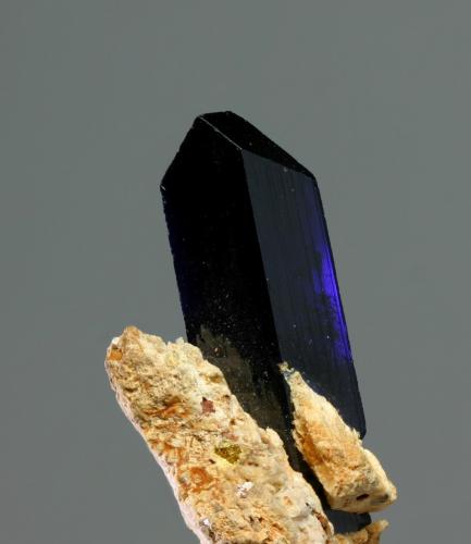 Azurita<br />Touissit, Distrito Touissit, Provincia Jerada, Región Oriental, Marruecos<br />cristal 10x30 mm<br /> (Autor: Ramon A  Lopez Garcia)