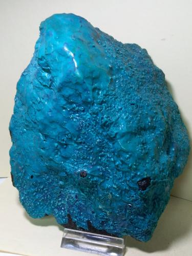 Chrysocolla<br />Campiglia Marittima, Campigliese, Provincia Livorno, Toscana, Italia<br />16 x 14 cm<br /> (Author: Sante Celiberti)