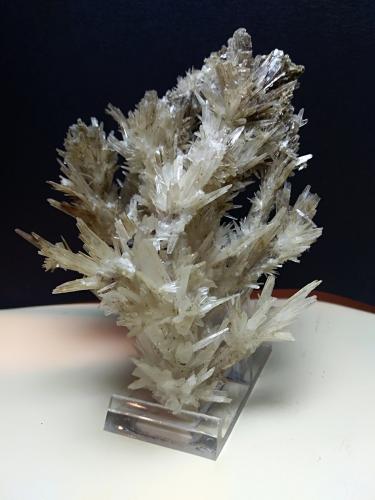 Aragonite<br />Mina La Selva, Casal di Pari, Civitella-Paganico, Provincia Grosseto, Toscana, Italia<br />14 x 9,5 cm<br /> (Author: Sante Celiberti)