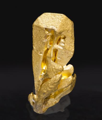 Gold<br />Uriman, Estado Bolívar, Venezuela<br />1.3 × 0.5 × 0.5 cm<br /> (Author: Jordi Fabre)