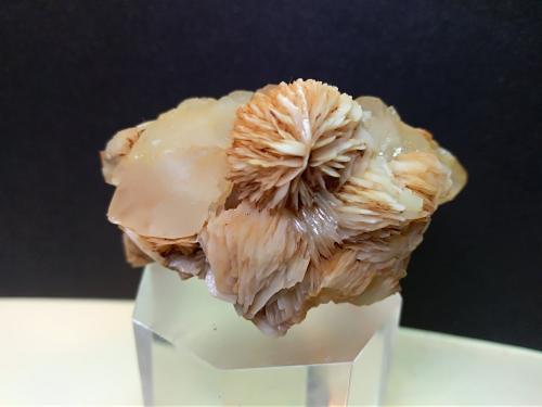 Baryte, Quartz<br />Minas Argentiera di Sant'Anna, Sant'Anna (Sant'Anna di Stazzema), Alpes Apuanos, Municipio Stazzema, Provincia Lucca, Toscana, Italia<br />55 x 33 mm<br /> (Author: Sante Celiberti)