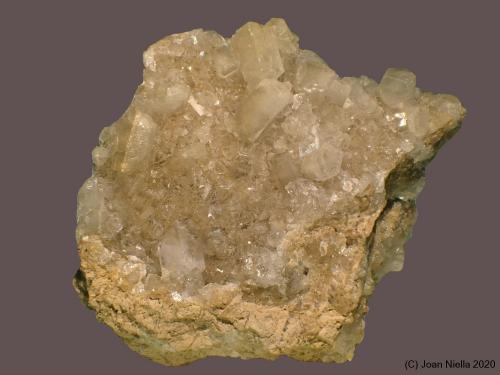 Celestina<br />Concesión Minerama II, Urbanización Puente Tablas, Jaén ciudad, Jaén, Comarca Metropolitana de Jaén, Andalucía, España<br />9 x 7 cm<br /> (Autor: Joan Niella)