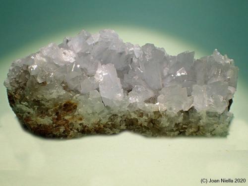 Celestina<br />Concesión Minerama II, Urbanización Puente Tablas, Jaén ciudad, Jaén, Comarca Metropolitana de Jaén, Andalucía, España<br />13 x 7 cm<br /> (Autor: Joan Niella)