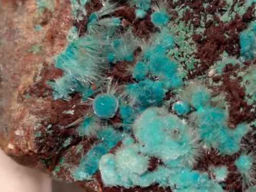 Aurichalcite, Rosasite<br />Campiglia Marittima, Campigliese, Provincia Livorno, Toscana, Italia<br />10,5 x 6 cm<br /> (Author: Sante Celiberti)