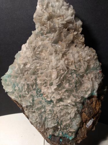 Calcite on Aurichalcite<br />Campiglia Marittima, Campigliese, Provincia Livorno, Toscana, Italia<br />18,5 x 12 cm<br /> (Author: Sante Celiberti)