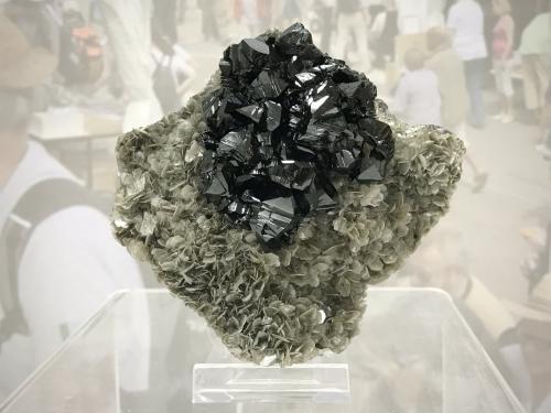 Cassiterite on Muscovite<br />Monte Xuebaoding, Pingwu, Prefectura Mianyang, Provincia Sichuan, China<br />Specimen size: 8.7 x 8.33.5 cm / main crystal size: 2 x 1.3 cm<br /> (Author: Jordi Fabre)