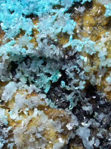 Hemimorphite, Aurichalcite<br />Campiglia Marittima, Campigliese, Provincia Livorno, Toscana, Italia<br />31 x 25 cm<br /> (Author: Sante Celiberti)