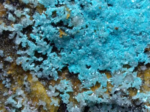 Hemimorphite, Aurichalcite<br />Campiglia Marittima, Campigliese, Provincia Livorno, Toscana, Italia<br />31 x 25 cm<br /> (Author: Sante Celiberti)