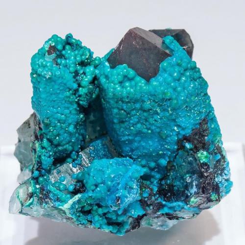 Chrysocolla coating Quartz<br />Mina Tentadora, Monte Ullpac, Distrito Huancano, Provincia Pisco, Departamento Ica, Perú<br />3.3 × 2.8 × 3 cm<br /> (Author: Jordi Fabre)