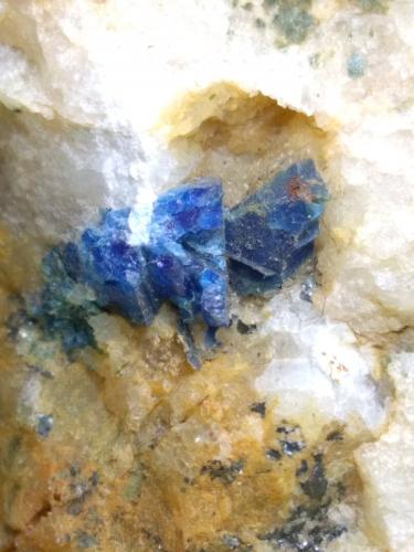 Lazulite<br />Monte Folgorito, Municipio Pietrasanta, Provincia Lucca, Toscana, Italia<br />52 x 29 mm<br /> (Author: Sante Celiberti)