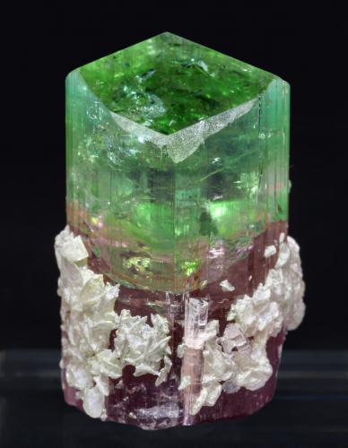 Elbaite with Mica<br />Concesión Pederneira, São José da Safira, Governador Valadares, Vale do Rio Doce, Minas Gerais, Brasil<br />3.5 × 2 × 2 cm<br /> (Author: Jordi Fabre)