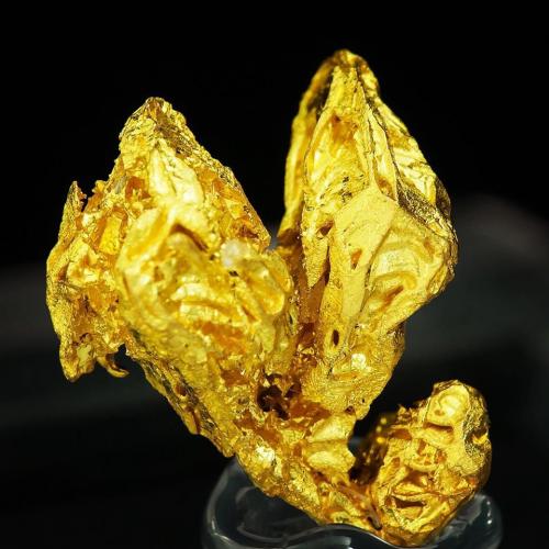 Gold<br />Mina Dongbeizhai, Songpan, Prefectura Autónoma Ngawa, Provincia Sichuan, China<br />Specimen size: 1.1 × 0.9 × 0.5 cm /  main crystal size: 1 × 0.3 cm<br /> (Author: Jordi Fabre)