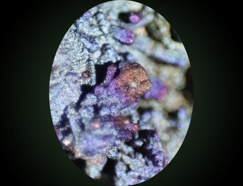 Cerussite, Goethite<br />Corta San Valentín, Sancti Espíritu, Sierra Minera de Cartagena-La Unión, La Unión, Comarca Campo de Cartagena, Región de Murcia (Murcia), España<br />FOV 6mm high<br /> (Author: Firmo Espinar)