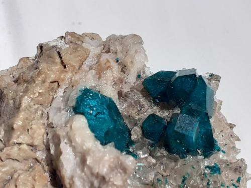 Dioptase, Quartz<br />Depósito Altyn-Tyube, Zona Altyn-Tyube, Estepas Kirguises, Región Karaganda, Kazajstán<br />8 x 7 cm<br /> (Author: Volkmar Stingl)