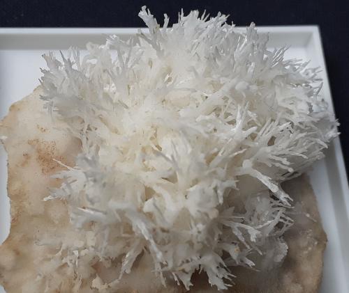 Aragonite (variety flos ferri)<br />Mina Nals-Prissian, Nalles (Nals), Provincia autónoma Tirol del Sur, Trentino-Alto Adige (Trentino-Südtirol), Italia<br />4 x 4 cm<br /> (Author: Volkmar Stingl)