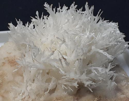 Aragonite (variety flos ferri)<br />Mina Nals-Prissian, Nalles (Nals), Provincia autónoma Tirol del Sur, Trentino-Alto Adige (Trentino-Südtirol), Italia<br />4 x 4 cm<br /> (Author: Volkmar Stingl)