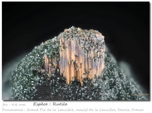 Rutile<br />Grand Pic de la Lauzière, Macizo La Lauzière, Saint-Jean-de-Maurienne, Saboya, Auvergne-Rhône-Alpes, Francia<br />fov 4.6 mm<br /> (Author: ploum)