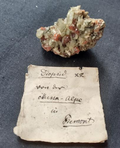 Diopside, Grossular<br />Alpe Mussa, Balme, Val d'Ala, Valles Lanzo (Valli di Lanzo), Provincia Ciudad metropolitana de Turín, Piamonte (Piemonte), Italia<br />3,5 x 2,5 cm<br /> (Author: Volkmar Stingl)