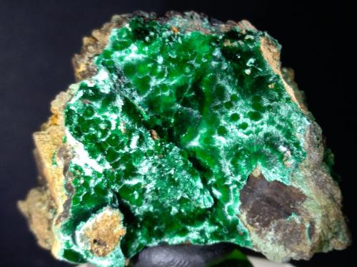 Malachite<br />Campiglia Marittima, Campigliese, Provincia Livorno, Toscana, Italia<br />41 x 28 mm<br /> (Author: Sante Celiberti)