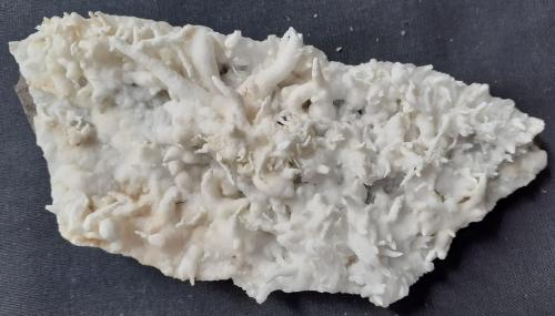 Aragonite (variety flos ferri)<br />Dienten am Hochkönig, Distrito Zell am See, Salzburgo/Salzburg, Austria<br />11 x 4,5 cm<br /> (Author: Volkmar Stingl)