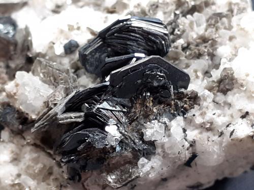 Hematite<br />Saurüssel, Zona Mörchner, Zemmgrund, Valle Ziller (Zillertal), Tirol Norte, Tirol, Austria<br />7 x 4 cm<br /> (Author: Volkmar Stingl)