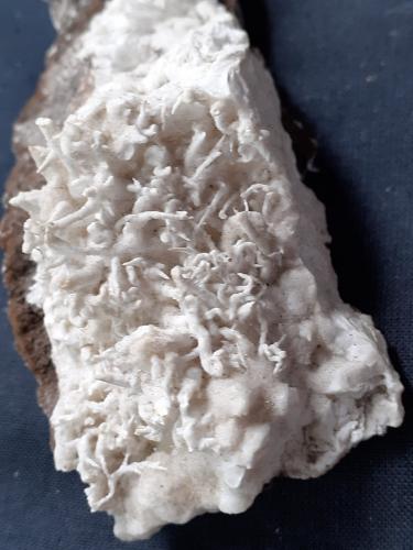 Aragonite (variety flos ferri)<br />Hesse/Hessen, Alemania<br />10 x 4 cm<br /> (Author: Volkmar Stingl)