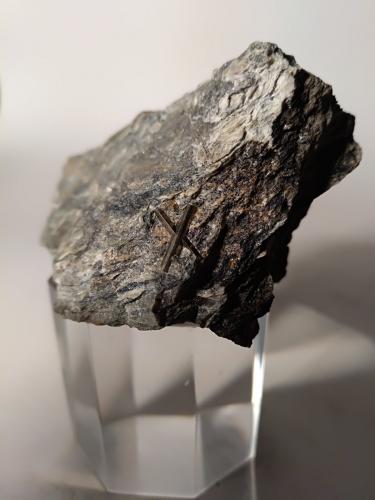 Arsenopyrite<br />Mina Monte Arsiccio, Sant'Anna (Sant'Anna di Stazzema), Alpes Apuanos, Municipio Stazzema, Provincia Lucca, Toscana, Italia<br />56 x 55 mm<br /> (Author: Sante Celiberti)