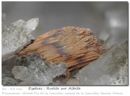 Rutile<br />Grand Pic de la Lauzière, Macizo La Lauzière, Saint-Jean-de-Maurienne, Saboya, Auvergne-Rhône-Alpes, Francia<br />fov 4.6 mm<br /> (Author: ploum)