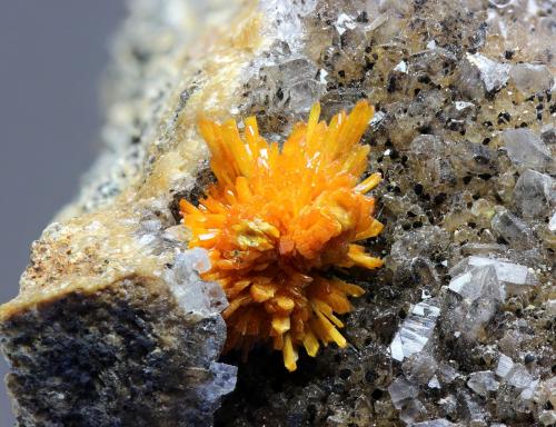 Boltwoodita<br />Concesión Goanikontes, Goanikontes, Distrito Swakopmund, Región Erongo, Namibia<br />grupo cristales  11x12 mm<br /> (Autor: Ramon A  Lopez Garcia)