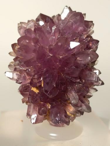 Quartz (variety amethyst)<br />Vetulonia, Castiglione della Pescaia, Provincia Grosseto, Toscana, Italia<br />35 x 25 mm<br /> (Author: Sante Celiberti)