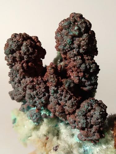 Copper, Malachite, Gypsum<br />Mina Fenice Capanne, Massa Marittima, Provincia Grosseto, Toscana, Italia<br />75 x 60 mm<br /> (Author: Sante Celiberti)