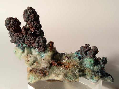 Copper, Malachite, Gypsum<br />Mina Fenice Capanne, Massa Marittima, Provincia Grosseto, Toscana, Italia<br />75 x 60 mm<br /> (Author: Sante Celiberti)