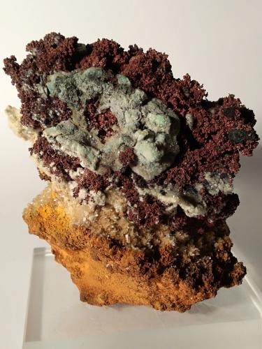 Copper, Malachite, Gypsum<br />Mina Fenice Capanne, Massa Marittima, Provincia Grosseto, Toscana, Italia<br />90 x 76 mm<br /> (Author: Sante Celiberti)